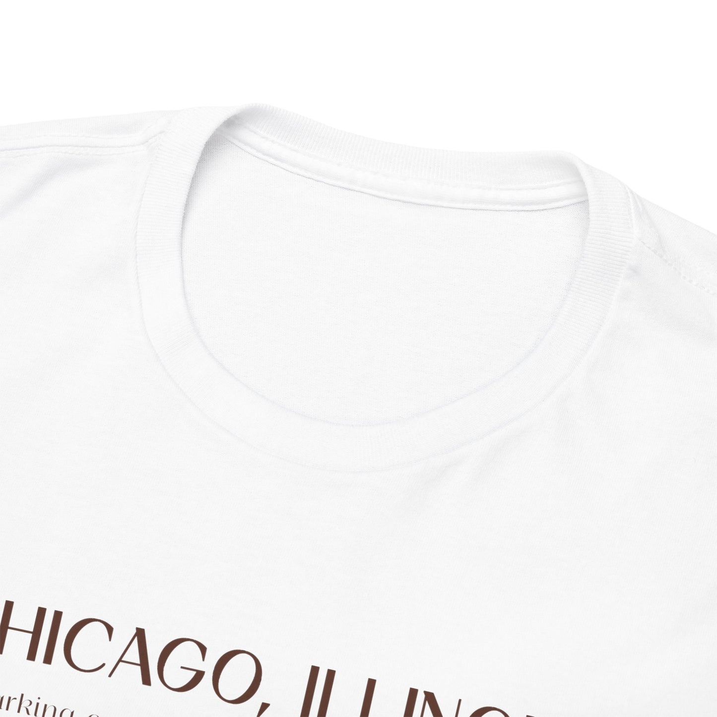 Chicago Illinois T-Shirt