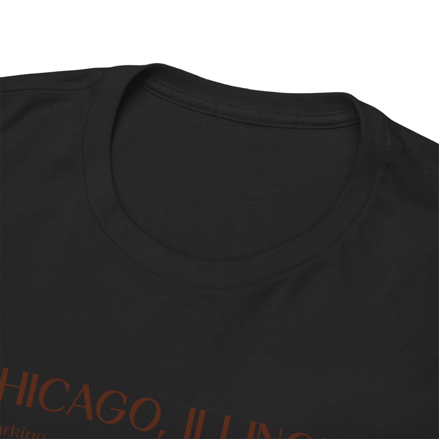 Chicago Illinois T-Shirt