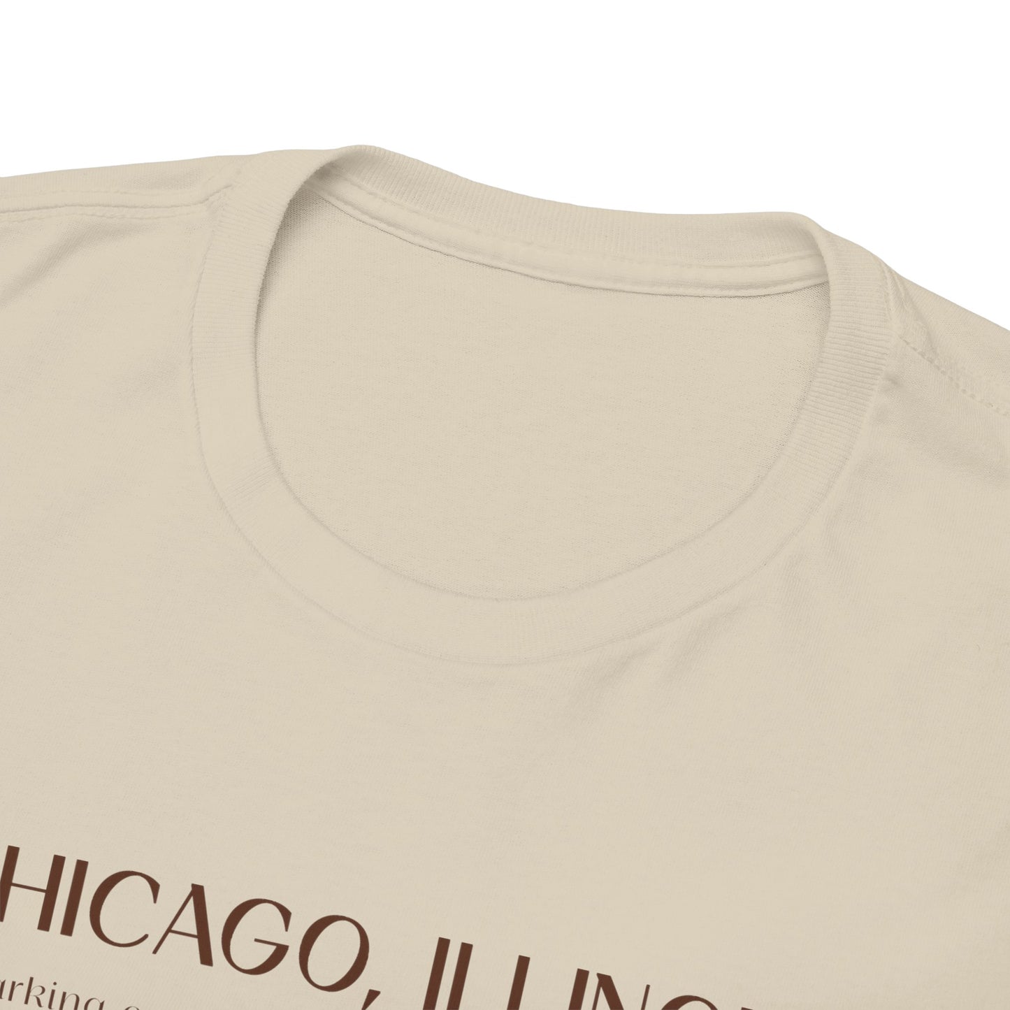 Chicago Illinois T-Shirt