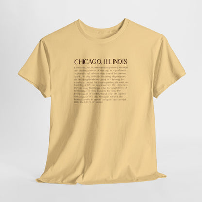 Chicago Illinois T-Shirt